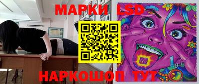 2c-b Кингисепп