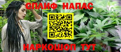 2c-b Кингисепп