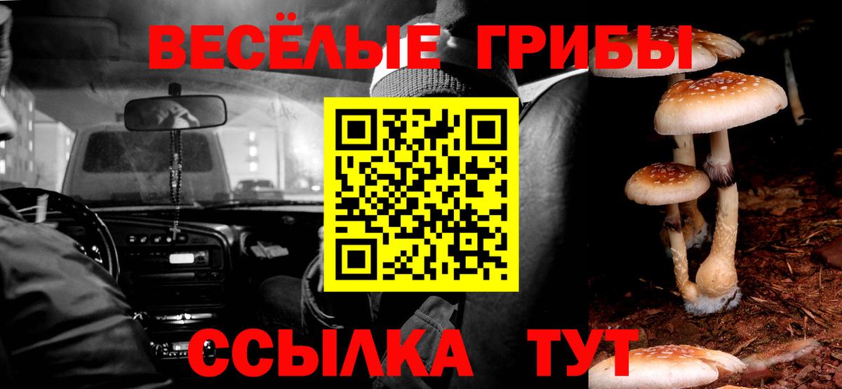 Галлюциногенные грибы ЛСД  Вход с VPN  закладки  Звенигород 